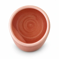 Ceramiqa Pottery Thumb Tumbler – Coral
