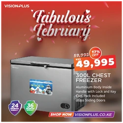 Vision Plus 300L Chest Freezer